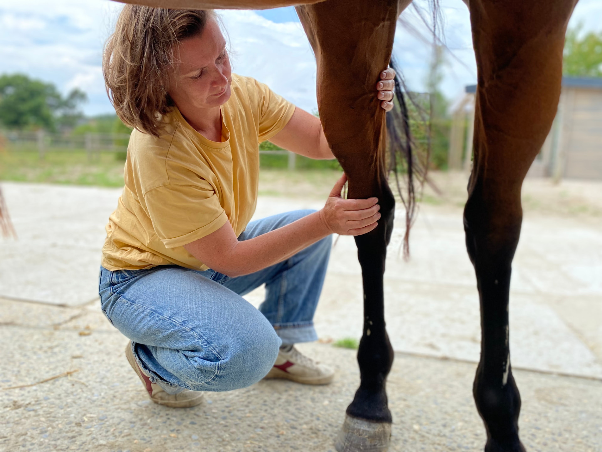 Laurence werkt gehurkt aan het voorbeen van een paard