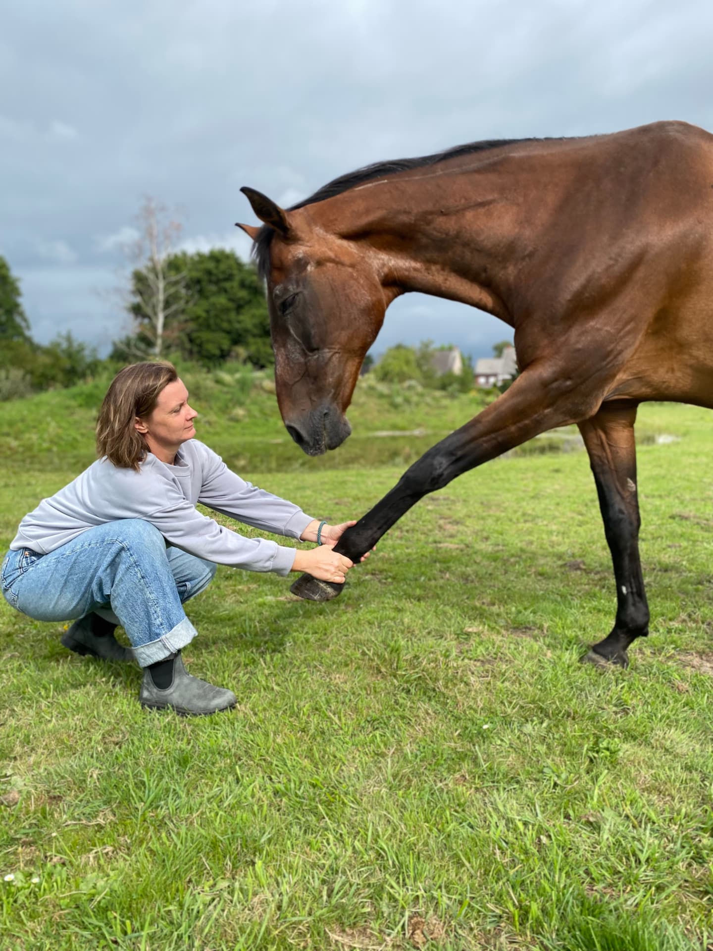 Paard geeft rustig zijn voorbeen aan Laurence in de weide